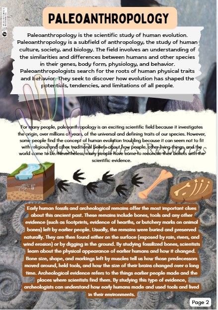 The History of Human Evolution