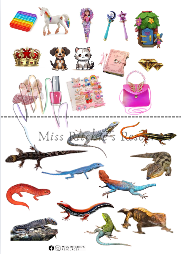 Laminated picture reward system