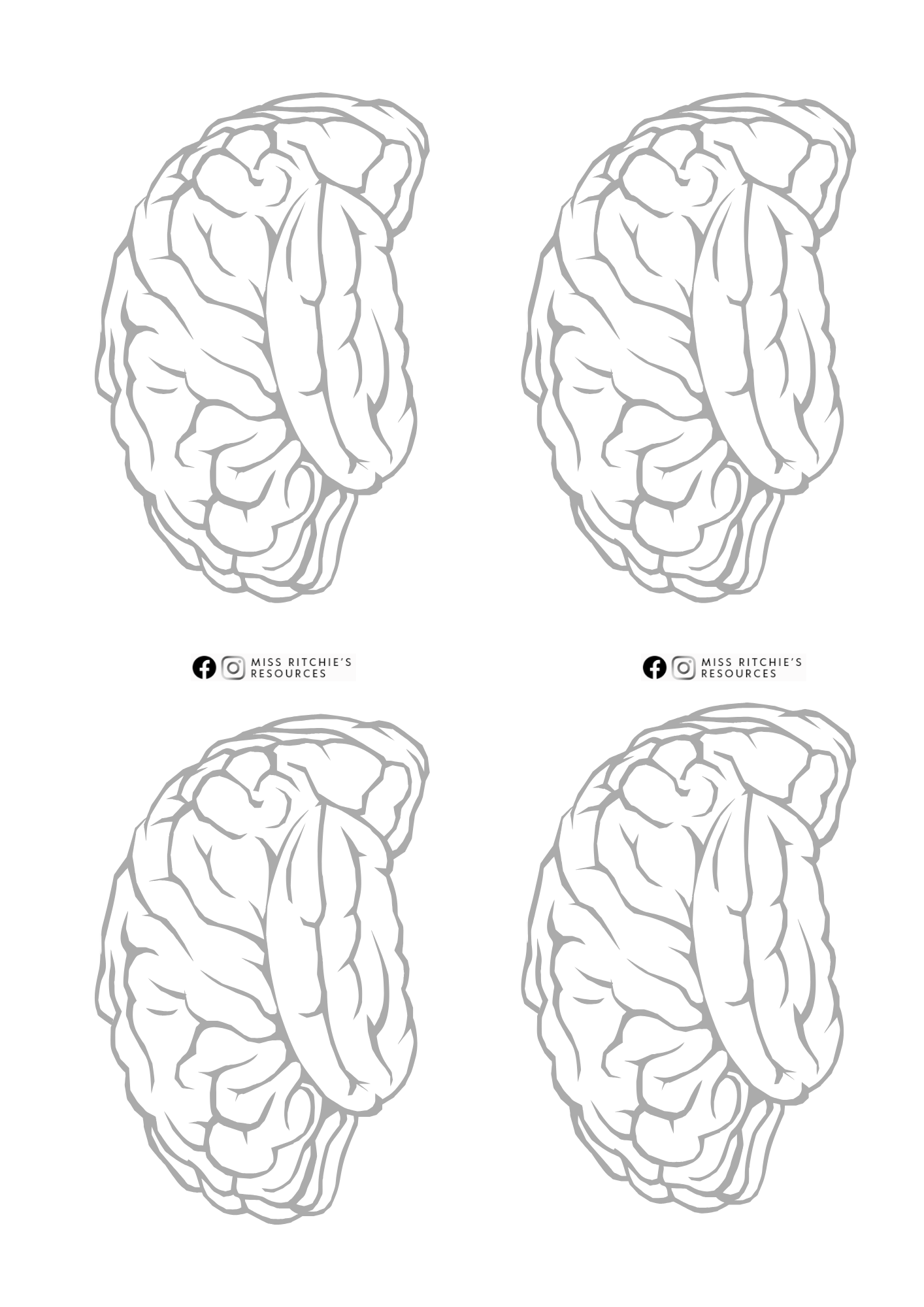 Celebrating our brains
