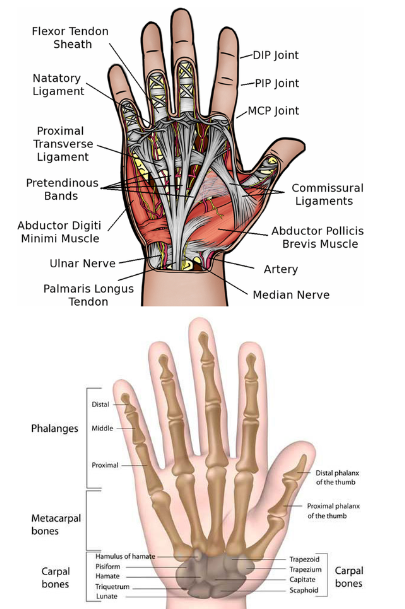 Create your own working hand!