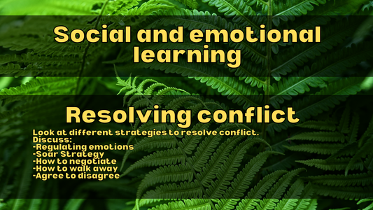 Soar conflict resolution