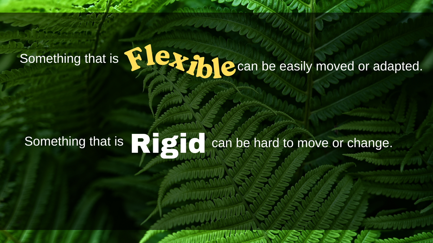 Flexible thinking PowerPoint