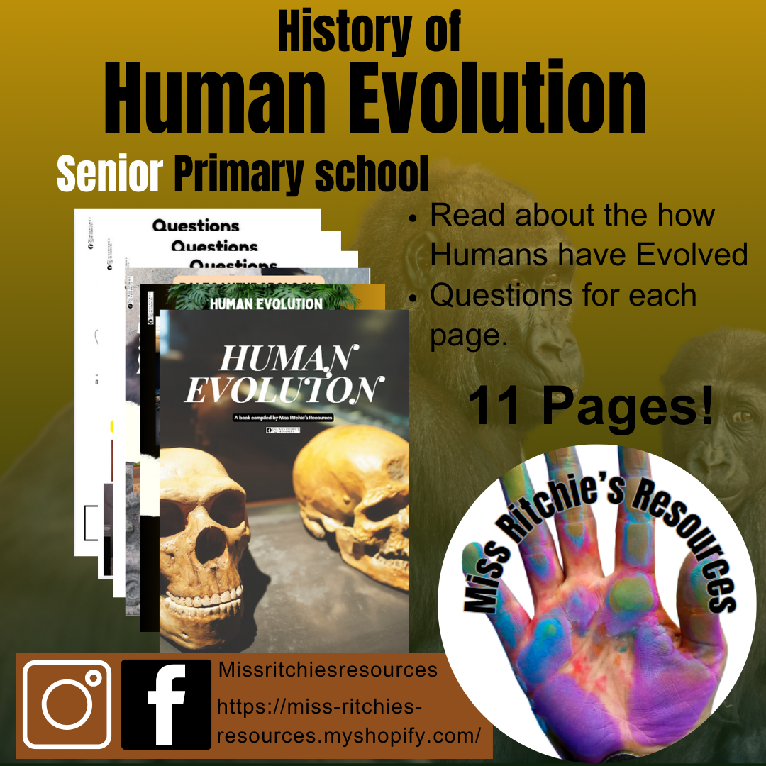 The History of Human Evolution