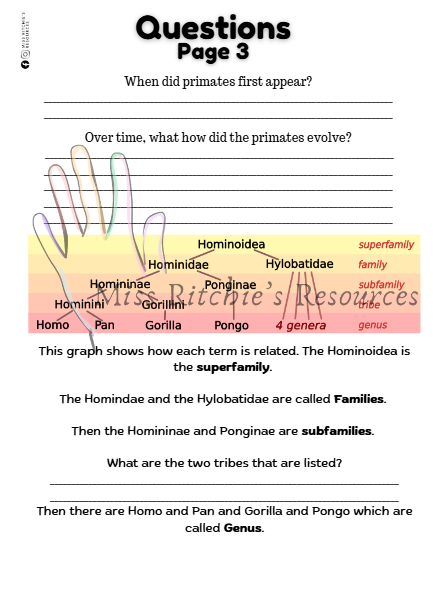 The History of Human Evolution