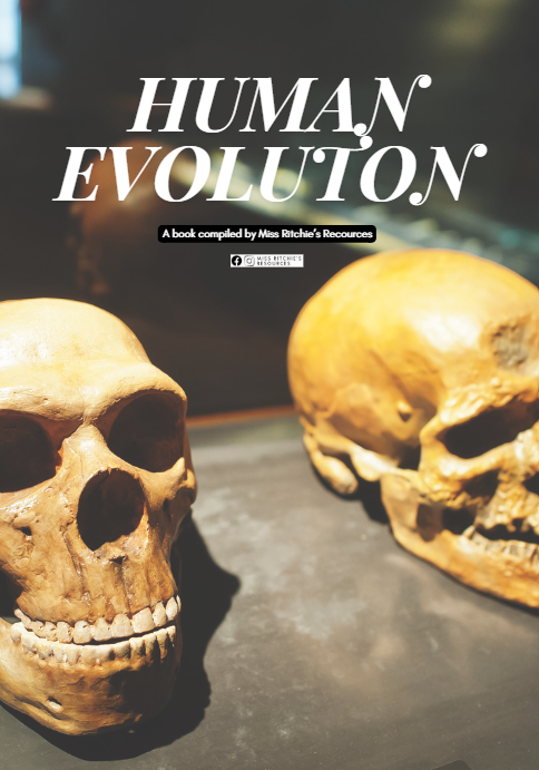 The History of Human Evolution