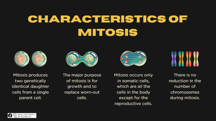 Mitosis PowerPoint