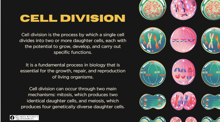 Mitosis PowerPoint