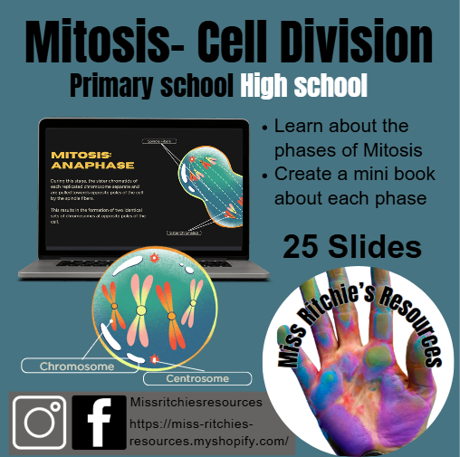 Mitosis PowerPoint