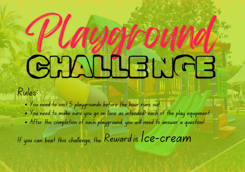 Playground challenges