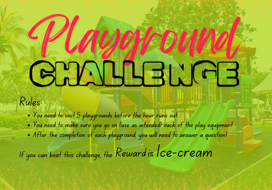 Playground challenges