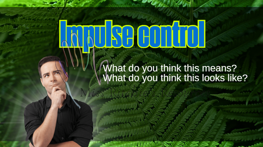 PB4L-Impulse Control