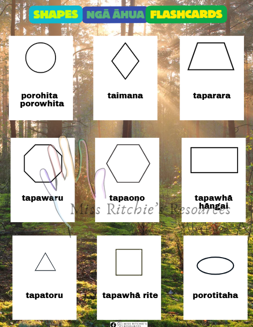 Shape flashcards (ngā āhua) Te reo Māori