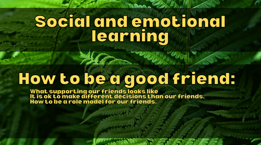 PB4L-How to be a good friend